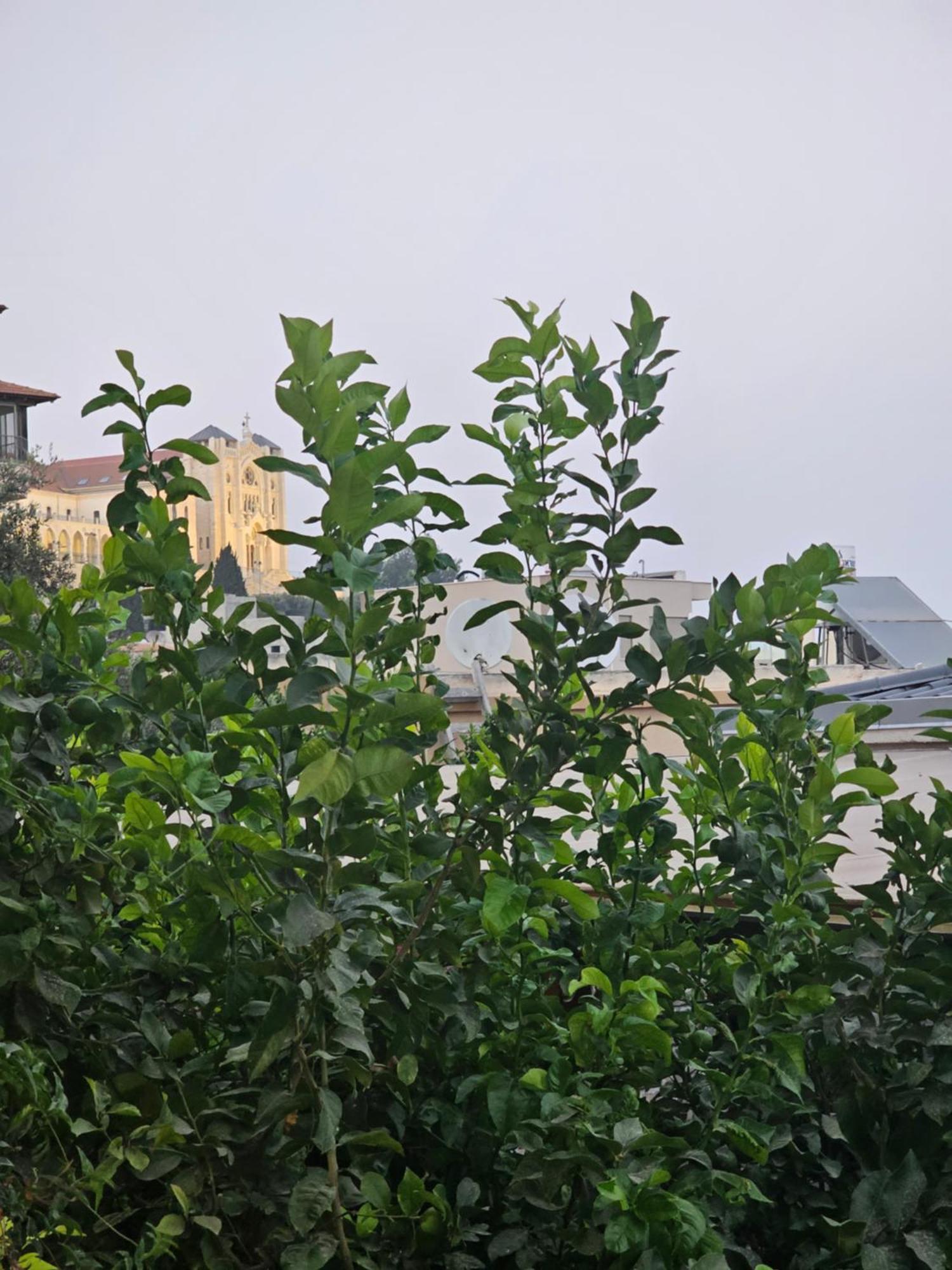 Maria'S Guesthouse - Uphill View Of Nazareth F Extérieur photo